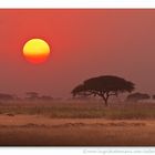 Fisi Sunset