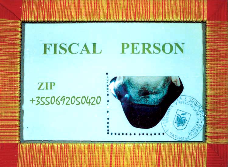 fiskal person