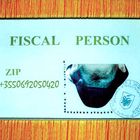 fiskal person