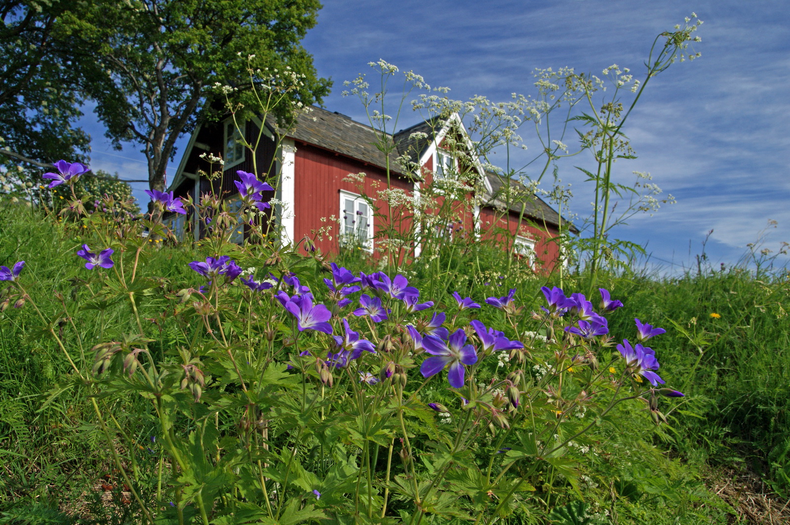 Fiskarbondens stue