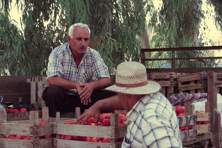 fist fight versus tomatoes