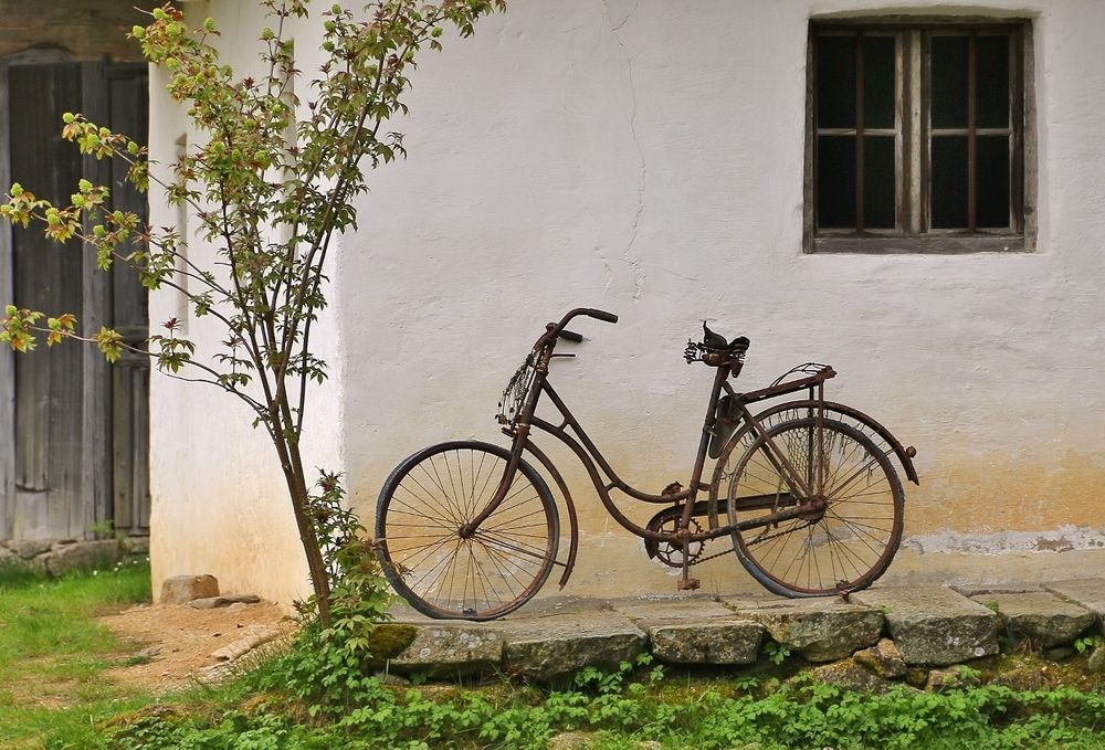 fit für eine Fahrradtour?