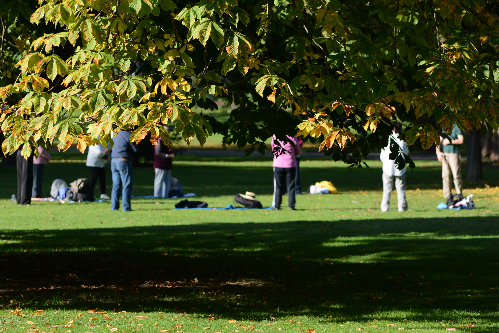 Fit im Park