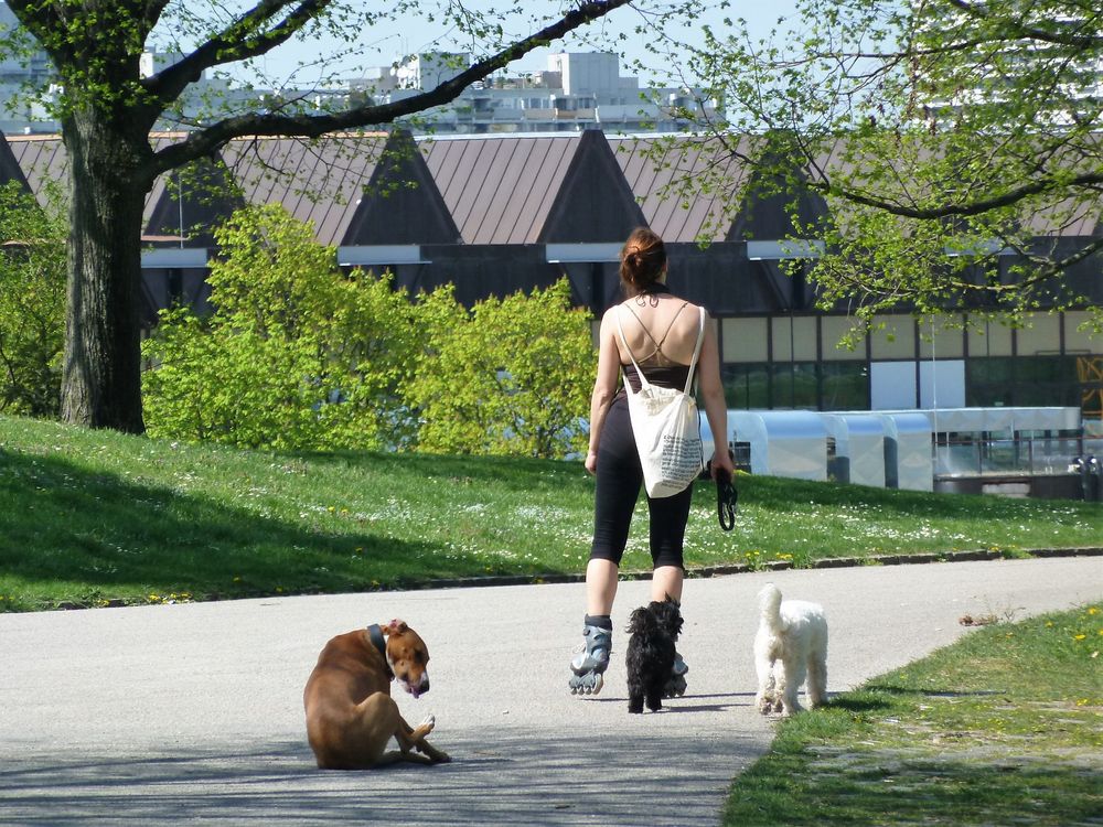 Fitness für alle....