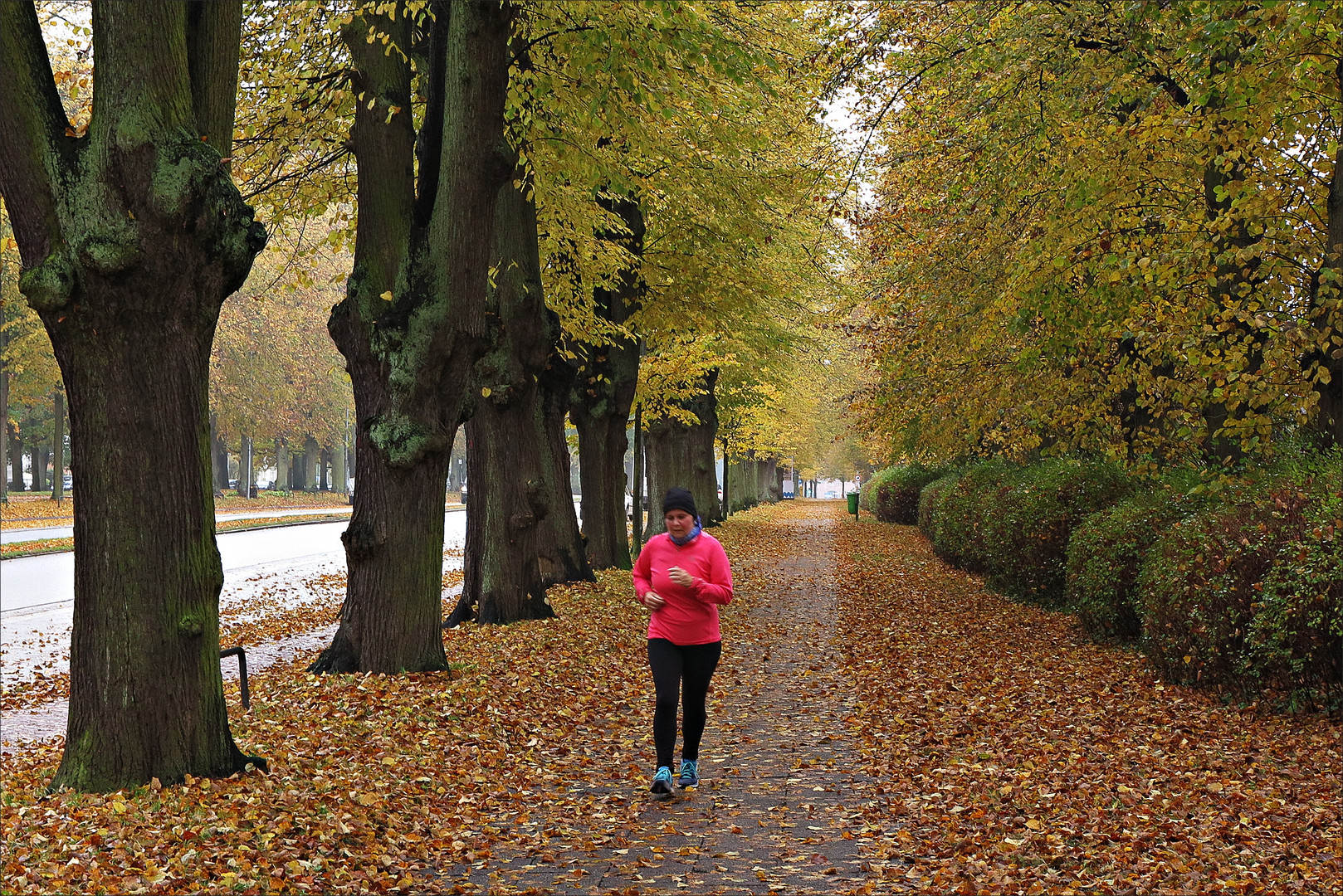 Fitnesslauf durch die bunte Baumallee in Lübeck