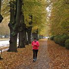 Fitnesslauf durch die bunte Baumallee in Lübeck