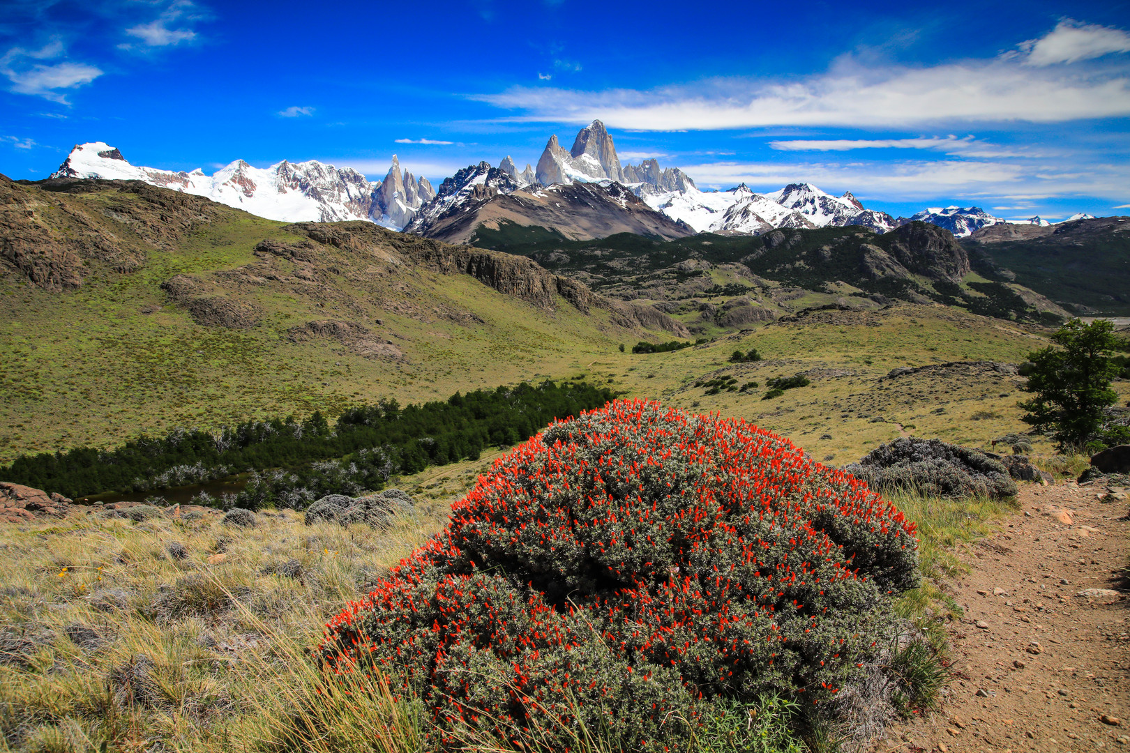 Fitz Roy 6