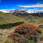 Fitz Roy 6