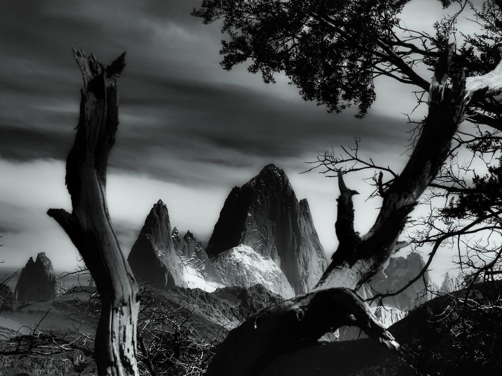 fitz roy ...