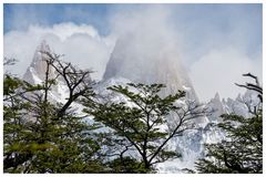 Fitz Roy - Chile/Argentinien