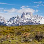 Fitz Roy Massiv