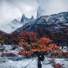 Fitz Roy umhüllt von Wolken