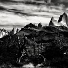 ... fitz roy und cerro torre    