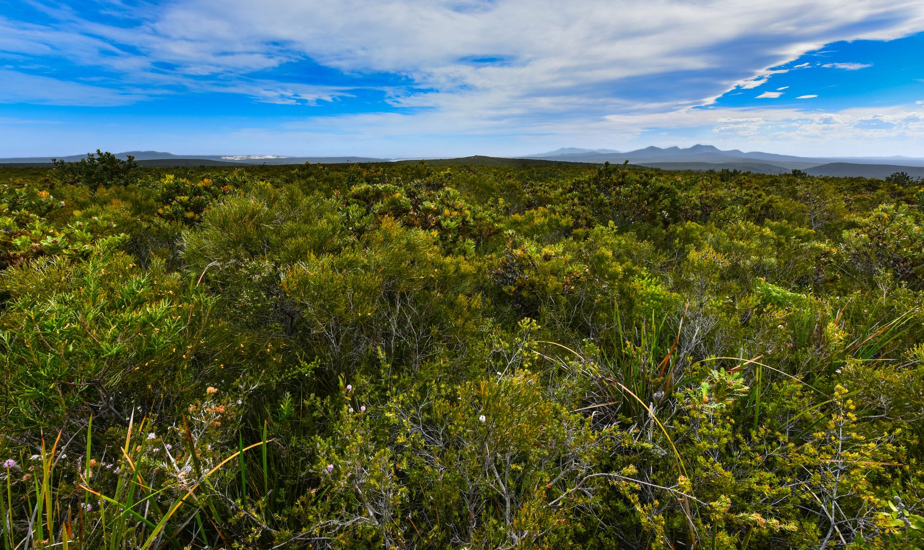 Fitzgerald River NP