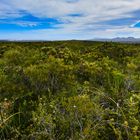 Fitzgerald River NP