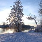 Fiume Adda in Inverno