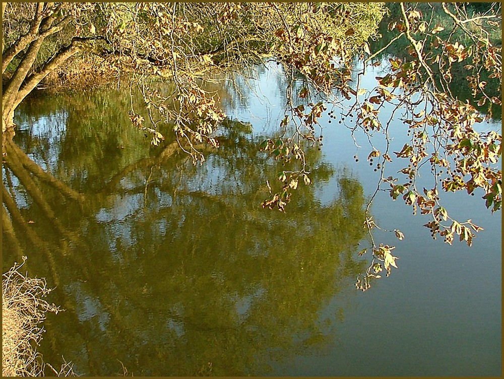 Fiume Alcabrichele