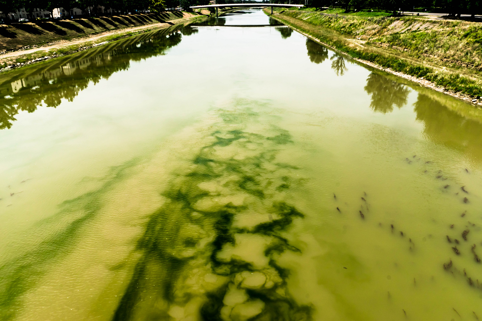 Fiume alieno