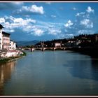 Fiume Arno (Firenze Italy 2009)