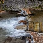 Fiume Cassarate, Lugano