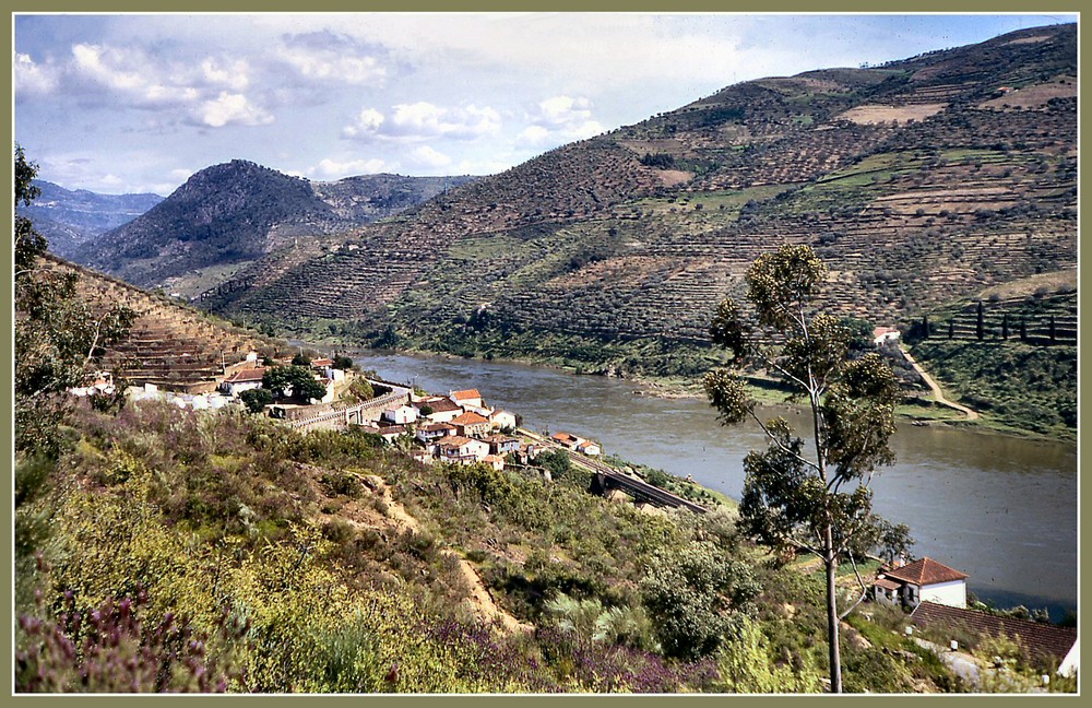 Fiume Douro Portugal