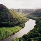 fiume e natura