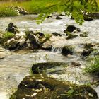 Fiume Esino - Genga, frazione Palombare