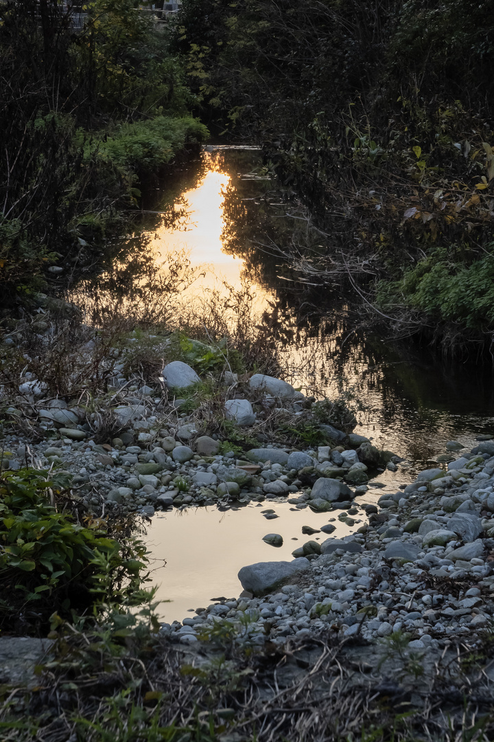 Fiume Froda al tramonto