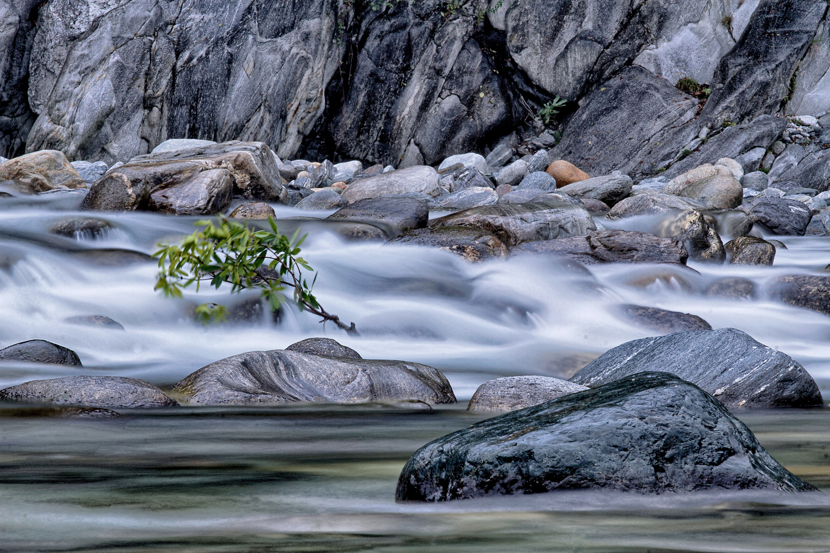 fiume maggia ticino