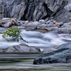 fiume maggia ticino