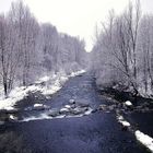 Fiume Oglio in alta Val Camonica