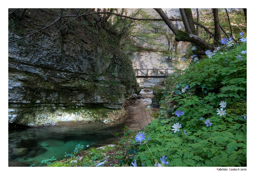 Fiume Orfento in primavera