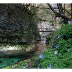 Fiume Orfento in primavera