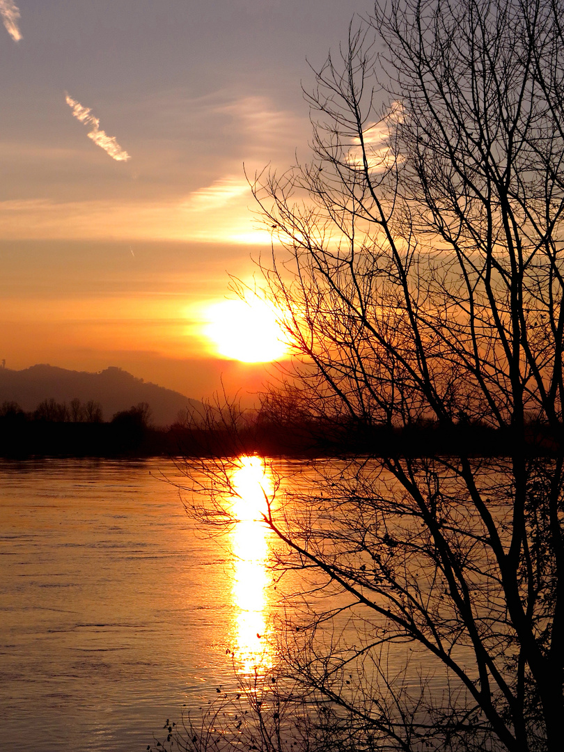 Fiume Po - Spessa (Pavia) al tramonto