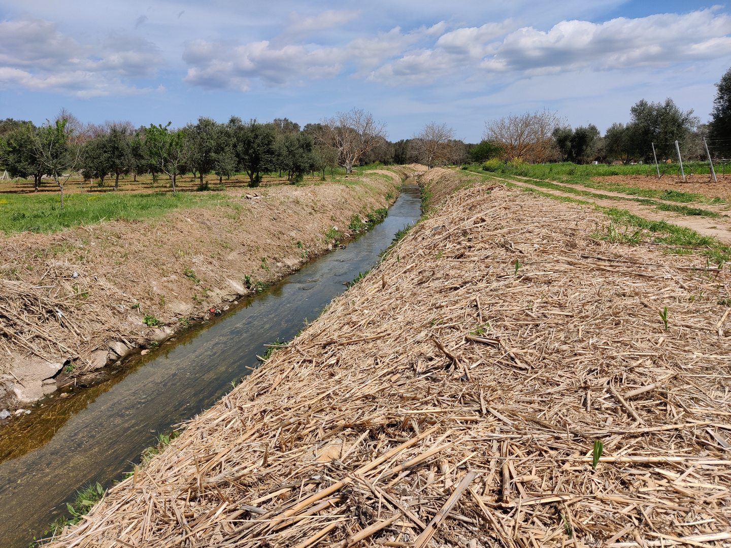 Fiume Reale nelle campagne brindisine