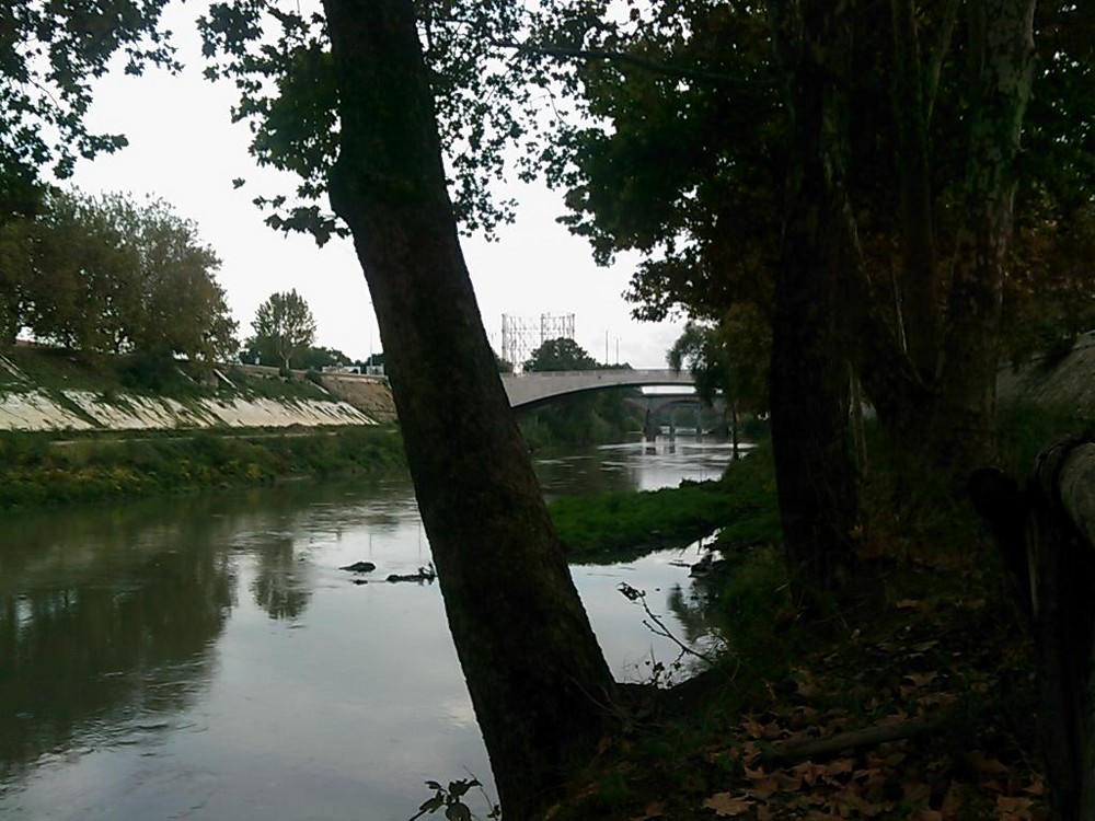 Fiume Tevere