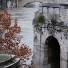 Fiume Tevere - ponte Rotto Isola Tiberina