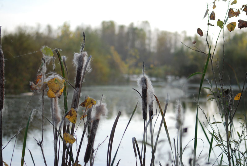 Fiume Ticino