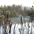 Fiume Ticino