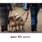 five asses