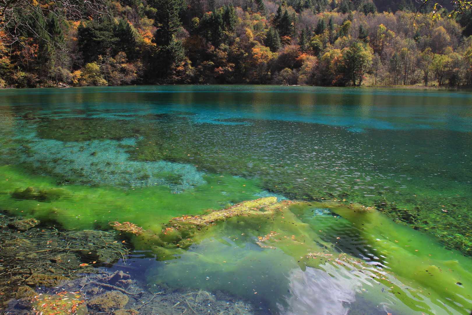 Five Flower Lake - JuizhaigoNational Park