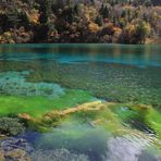 Five Flower Lake - JuizhaigoNational Park