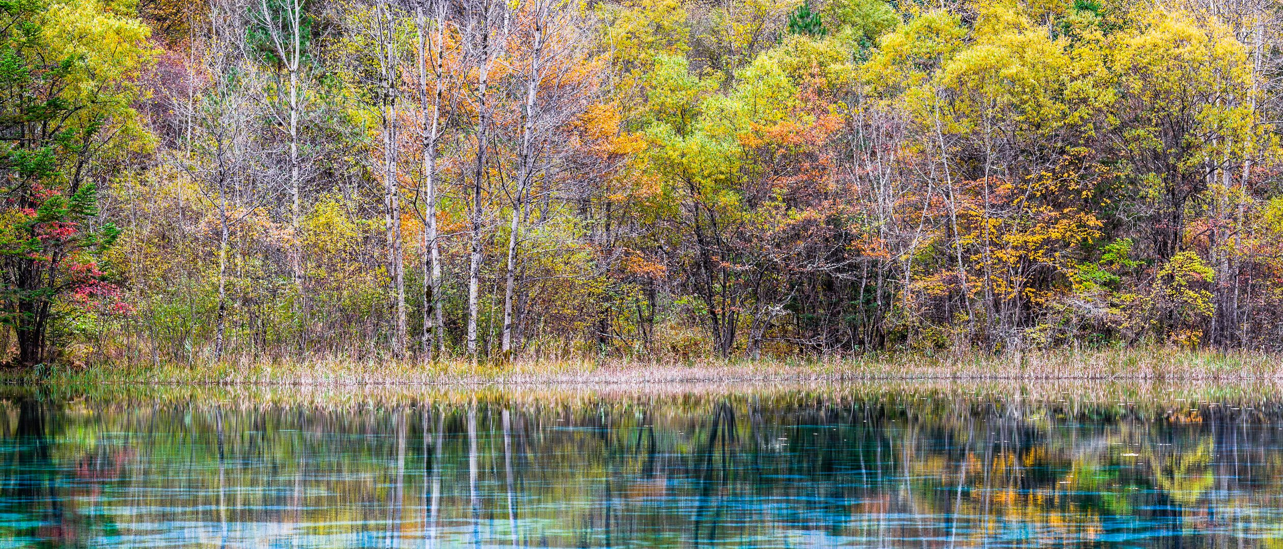 Five Flowers Lake