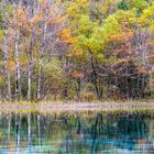 Five Flowers Lake