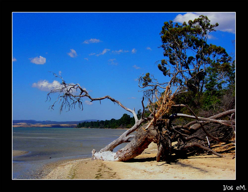 five-miles-beach...