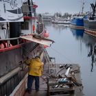 Fix The Boat  - Seattle FIsherman's Terminal