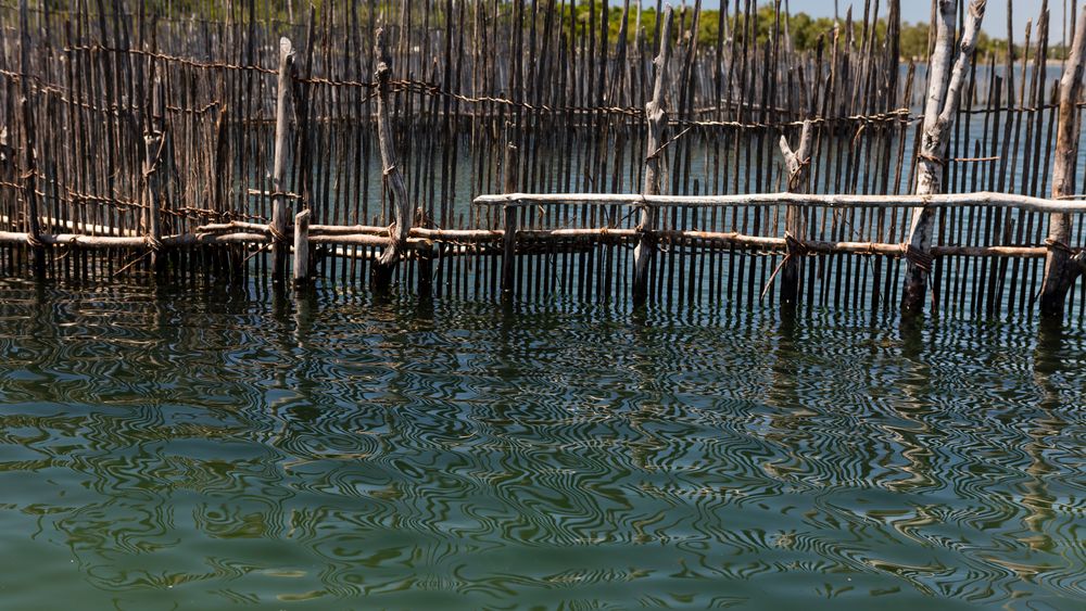 Fixe Fischreusen im Canal des Pangalanes