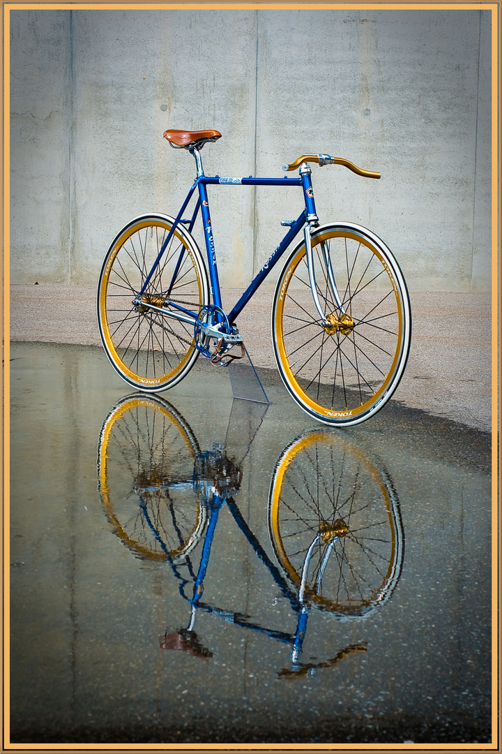 FIXED GEAR BIKE