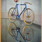 FIXED GEAR BIKE