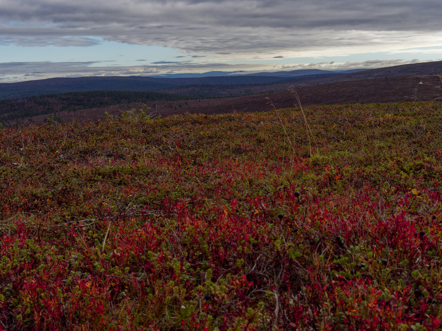 Fjäll 4 Finnisch Lappland